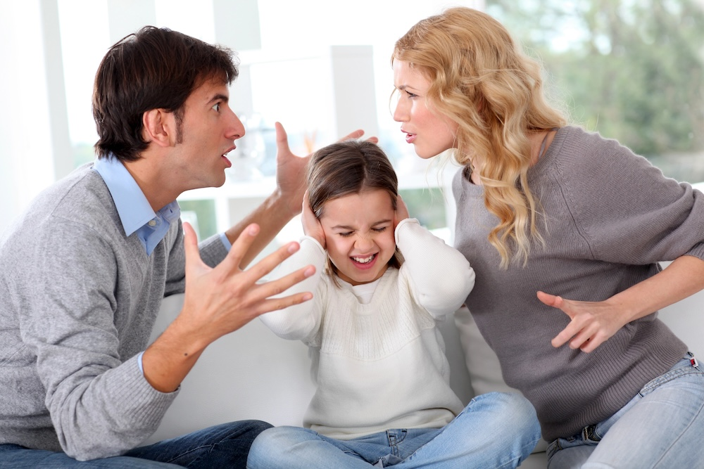 Lisa Collins Werner Adoption Attorney Knoxville TN 2 image 4
